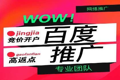 百度推广在电商行业的成功案例